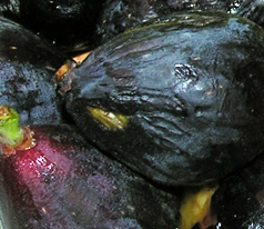 A Charoset-inspired sweet relish