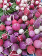 Radishes