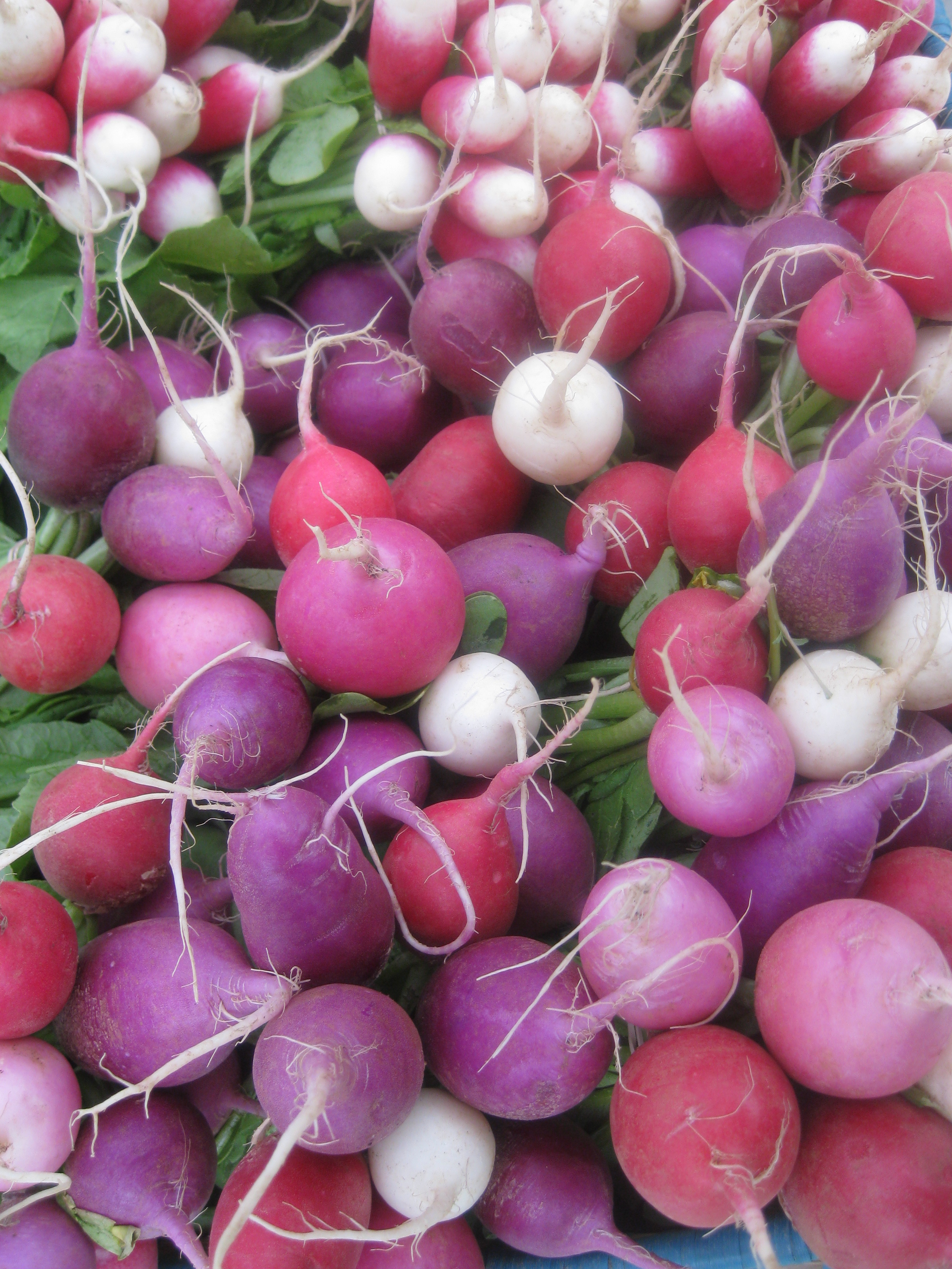 Radish and Chive Salad