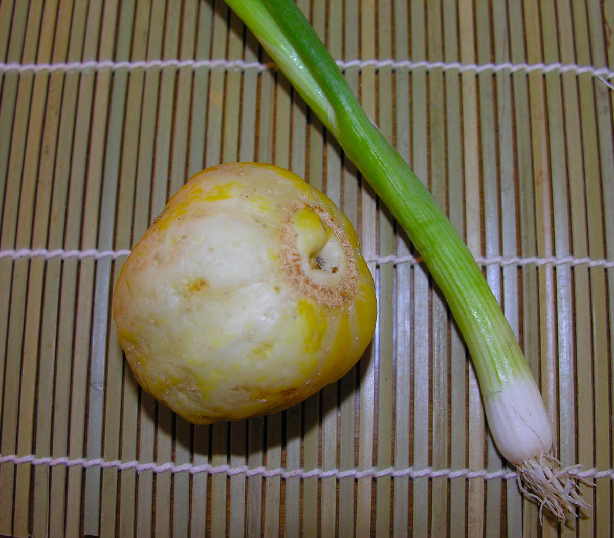 Daikon and Carrot Miso Soup