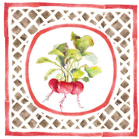 Pt_v_radishes_c_egbert