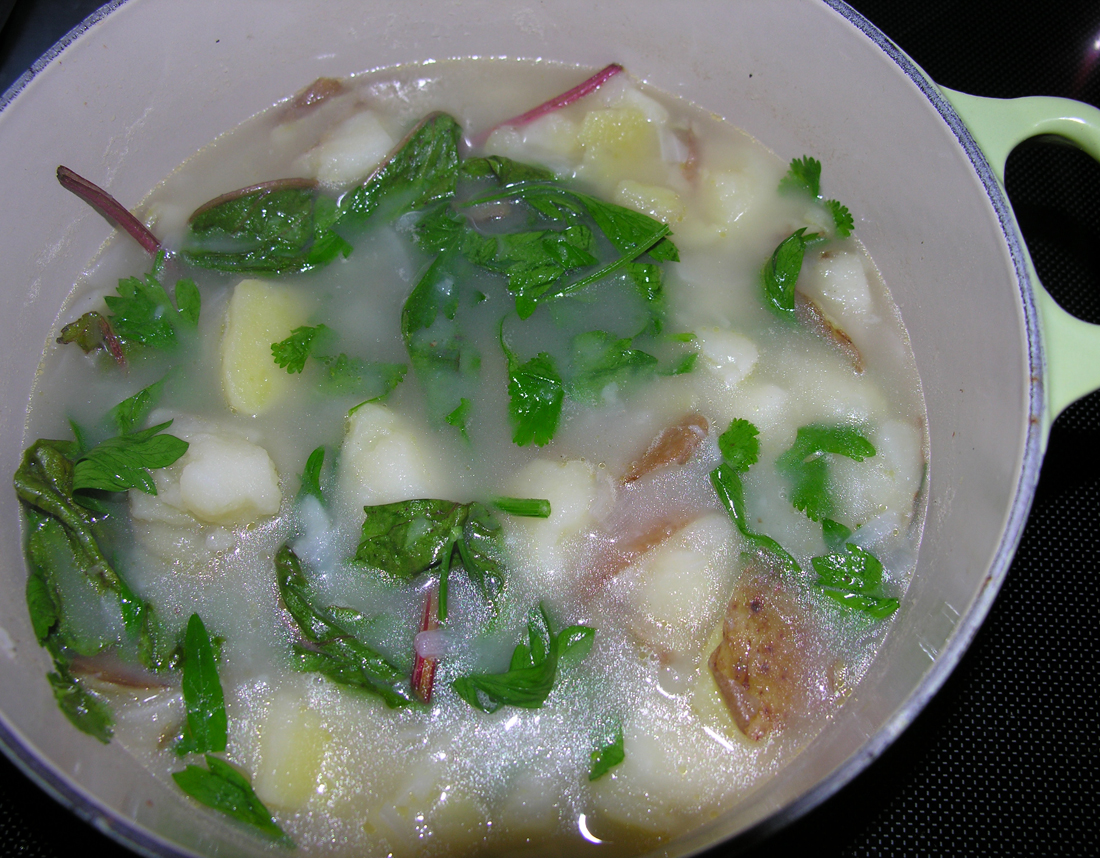 Rustic radish soup