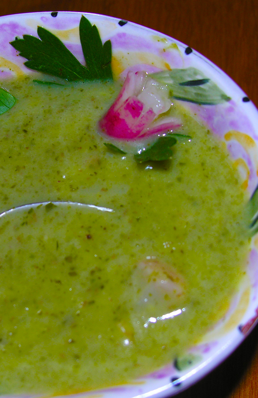 Rustic radish soup