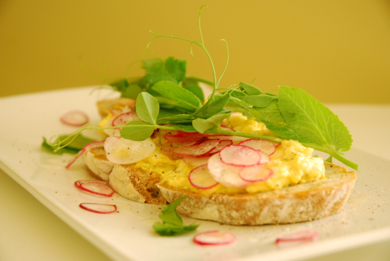 Curried Egg Salad, Radish and Fall Pea Shoot Tartine