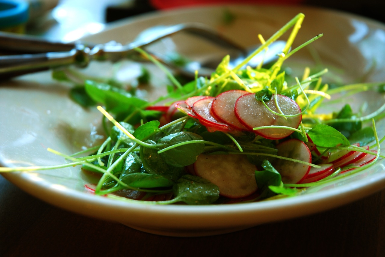 Radish and Cress Side