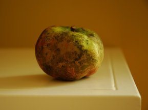 Copper Pot Apple Butter 