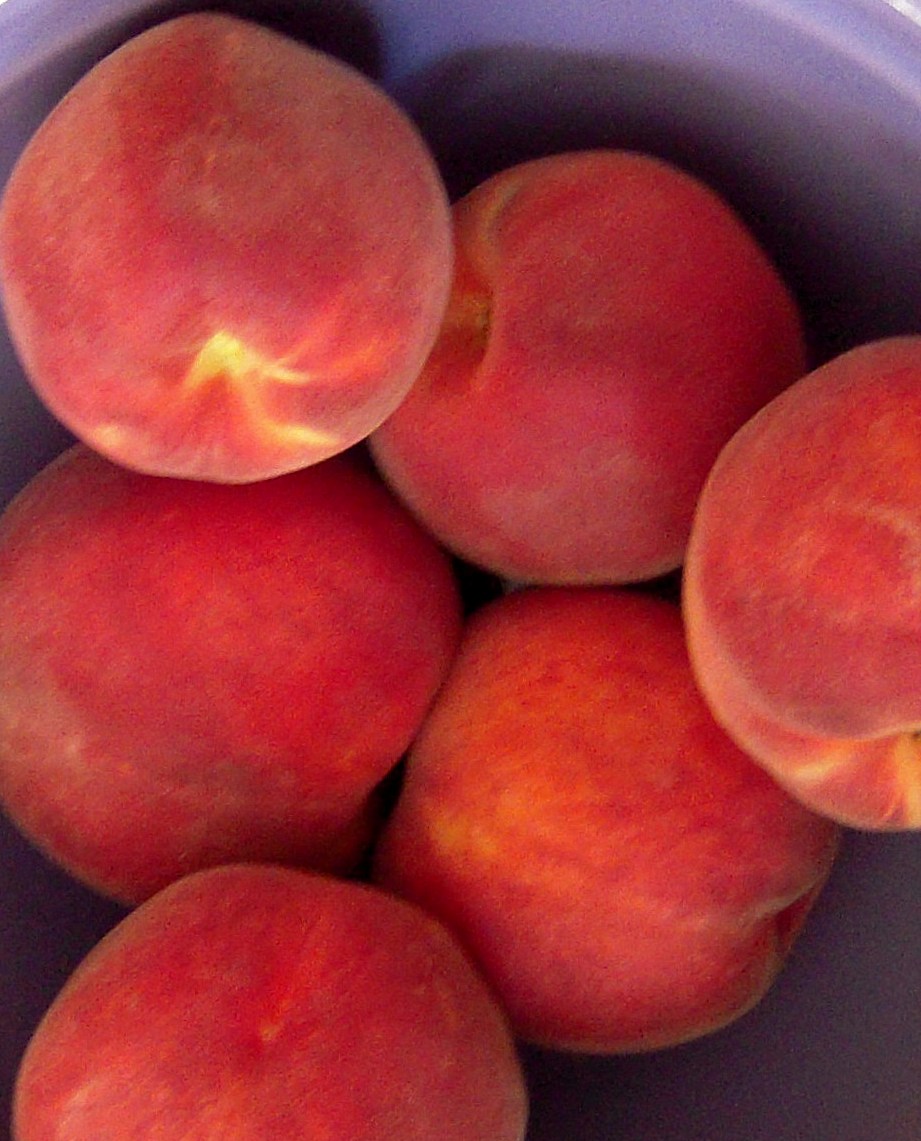 Peachy sweet wings