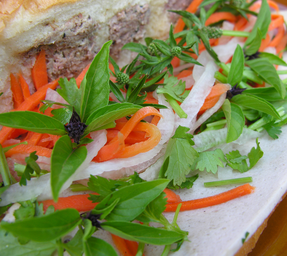 Chicken banh mi