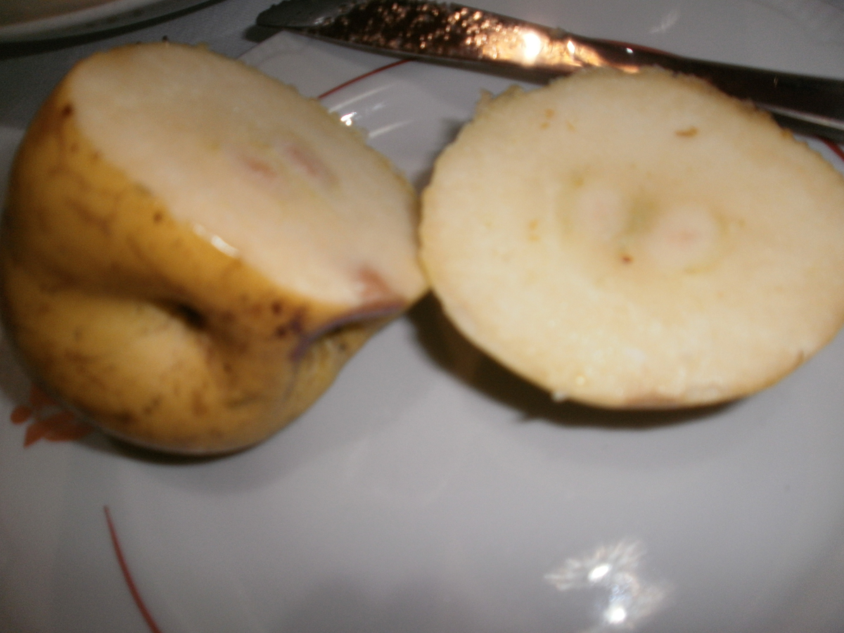 Anya's herring (or hen) under a fur coat, "Selyodka pod Shouboy"