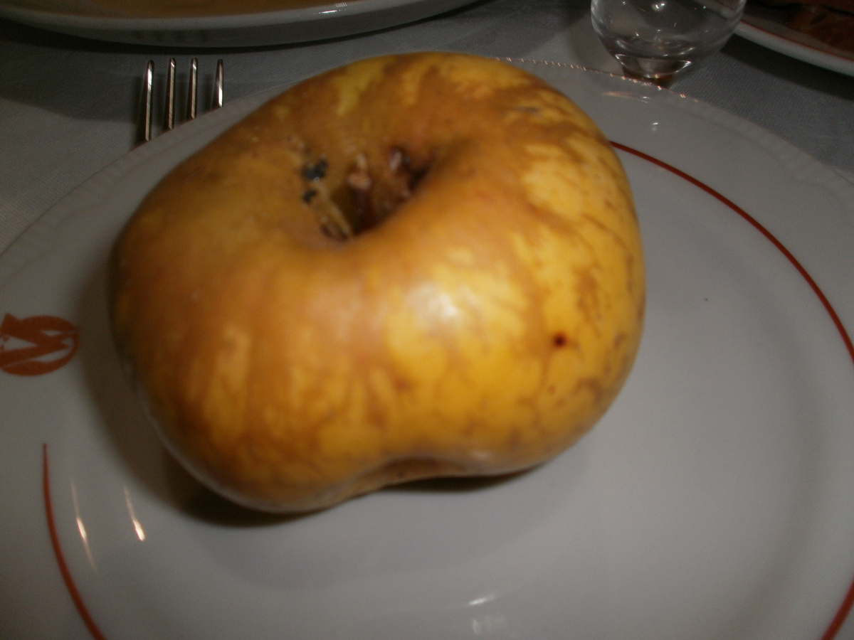 Anya's herring (or hen) under a fur coat, "Selyodka pod Shouboy"