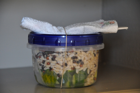Dvc_combo_1_in_box_food52
