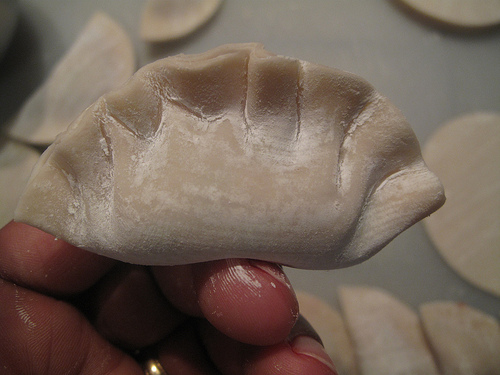 Pork and cilantro dumplings