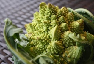 Cauli