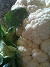 Cauliflower Fritters