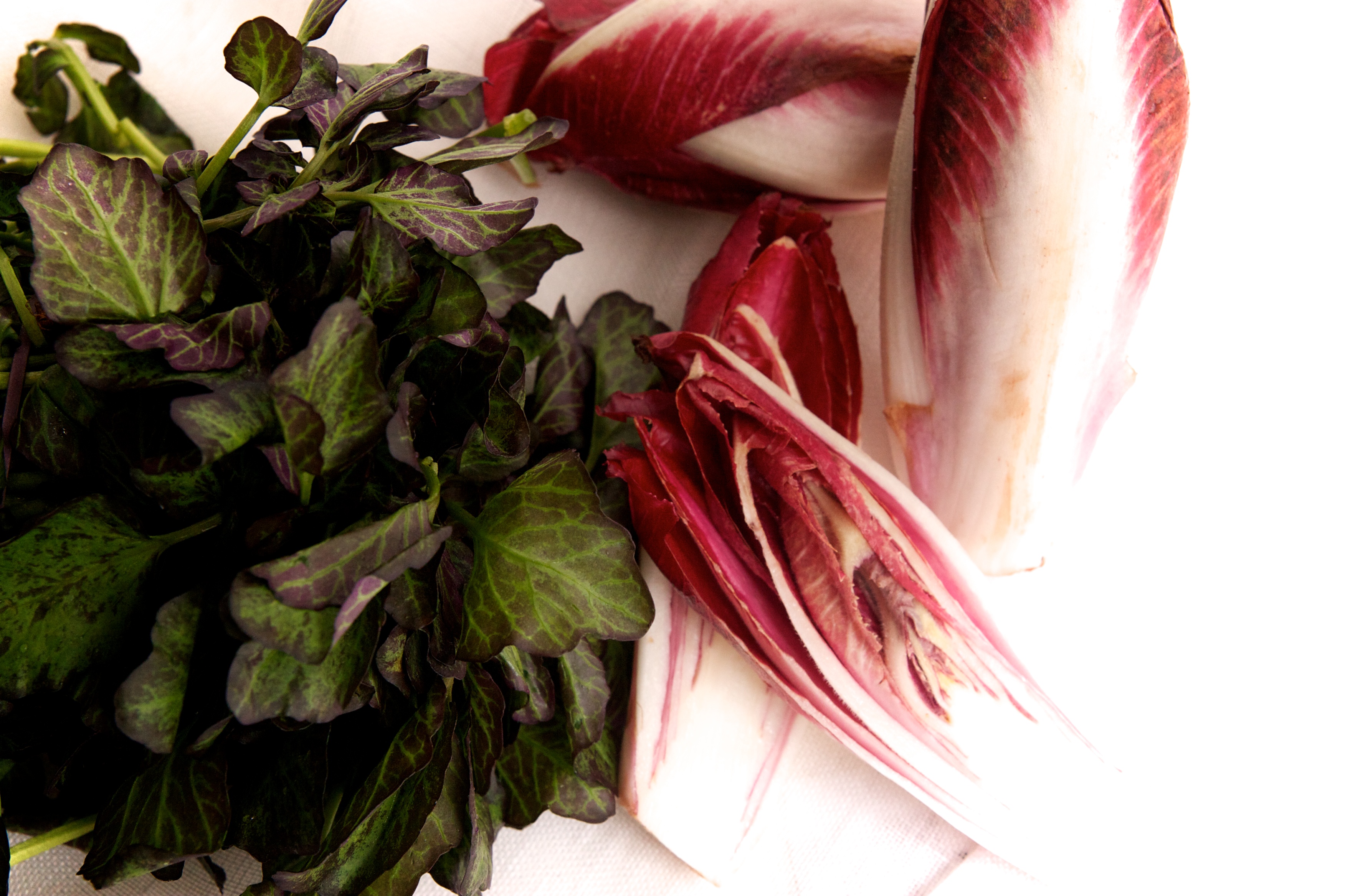 Grilled Endive & Watercress Salad with a Blue Cheese Vinagrette 