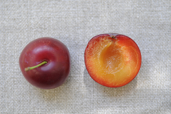Plums_lo_res