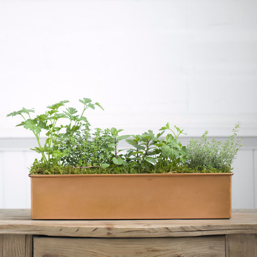 Food52_herbtrough_copper_a