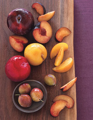 Ttit_plum_v