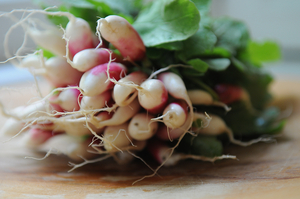 Radishes