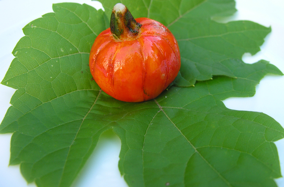 Pumpkin_marzipan