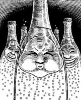 Maar_how_to_keep_champagne_bubbly_v