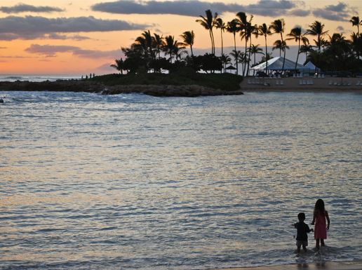 Monkeysinhawaii