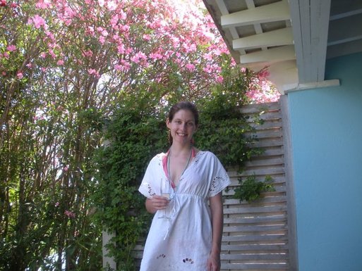 Bermuda_pic