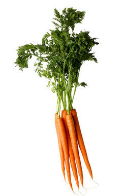Ttar_carrot_03_v_launch