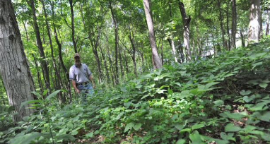 Producer Spotlight: Hardin's Wild Mountain Herbs