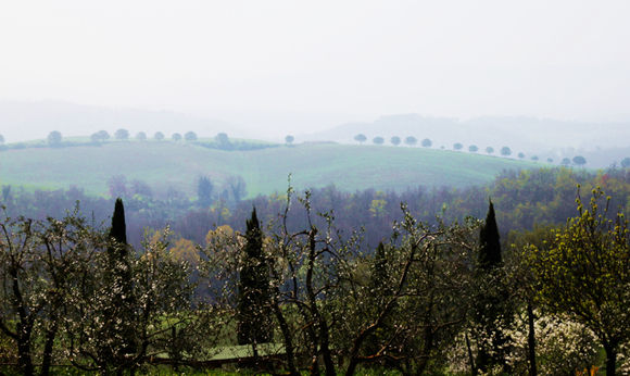 Colle-view