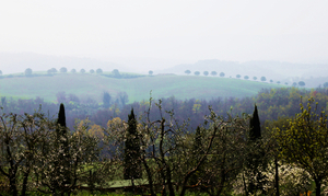 Colle-view