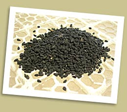 Worldspice_nigella