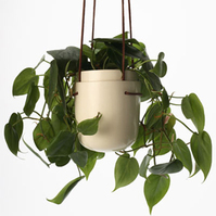Perch_plantpod