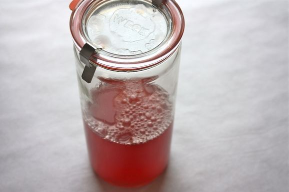 Rhubarb_cordial