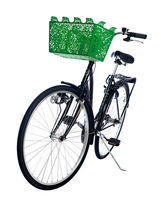 Dhs_bicyclebasket
