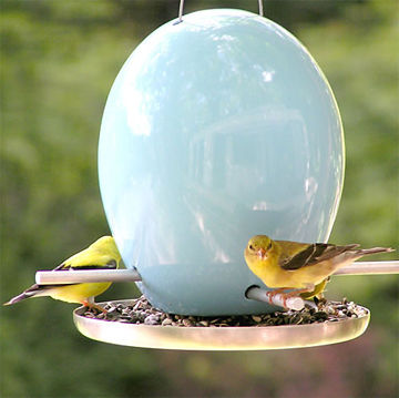 Plastica_eggbird