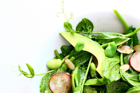 Pea_shoot_salad_with_fava_beans