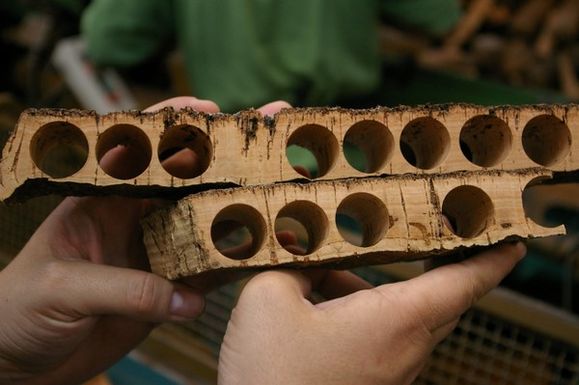 Cork_126