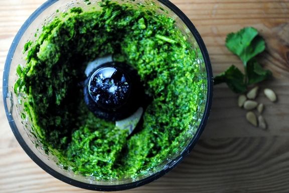 Cilantro_pesto