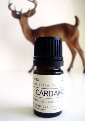 Raredevice_cardamom003