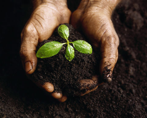 Hands_20in_20compost
