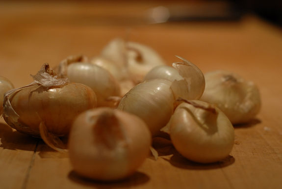 Onion