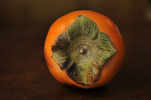 Persimmon