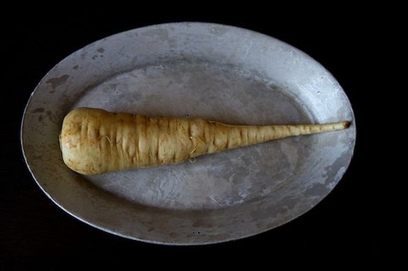 Parsnip