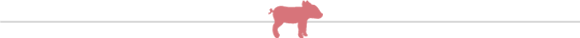 Piglet-head-img