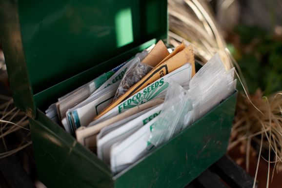 Seed_storage_recipe_box