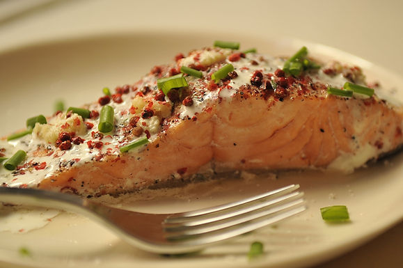 Salmon