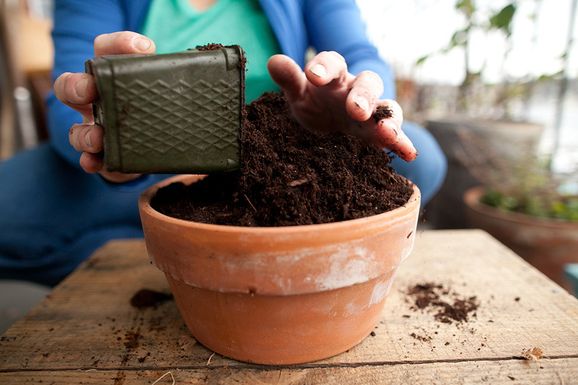 A_soil_mix_-_fill_pots_all_the_way
