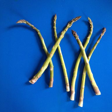 Asparagus