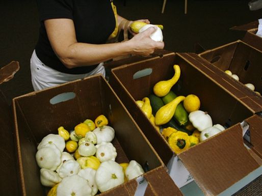 Squash